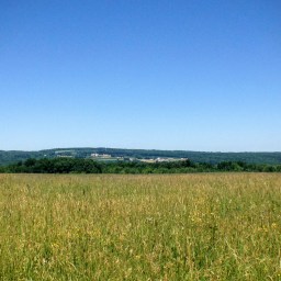 The Long-Haul: Momos & Mom