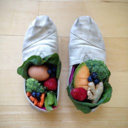 The Distance Dietetic Internship