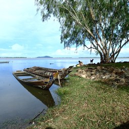 Day 384 – Cake Walks