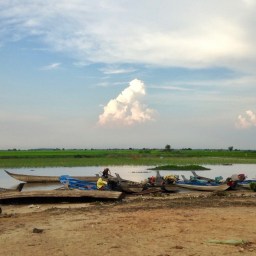 Day 514 – You Can Check Out But You Can Never Leave