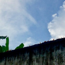 Day 510 – Stepping On, Picking Out Glass