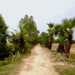 Day 221 – The Cow Climbs the Mountain (The Cow is I)