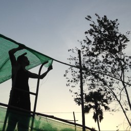 “The Garden Project” Pt. 2 – Money Arrives, Buyin’, Diggin’