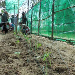 “The Gardening Project” Pt. 1 – Training, Planning